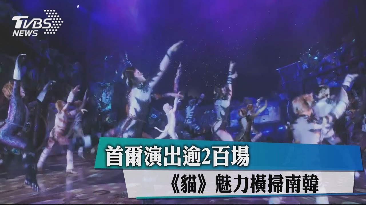 首爾演出逾200場 《貓》魅力橫掃南韓