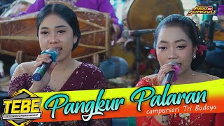 Download lagu GENDING JAWA PANGKUR PALARAN CAMPURSARI TRI BUDAYA MLS PRO AUDIO mp3