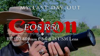 The ULTIMATE budget friendly wildlife beast -  Canon R50, RF 100-400mm lens - AMAZING!