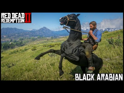 The BLACK ARABIAN - Red Dead Redemption 2 Story Mode