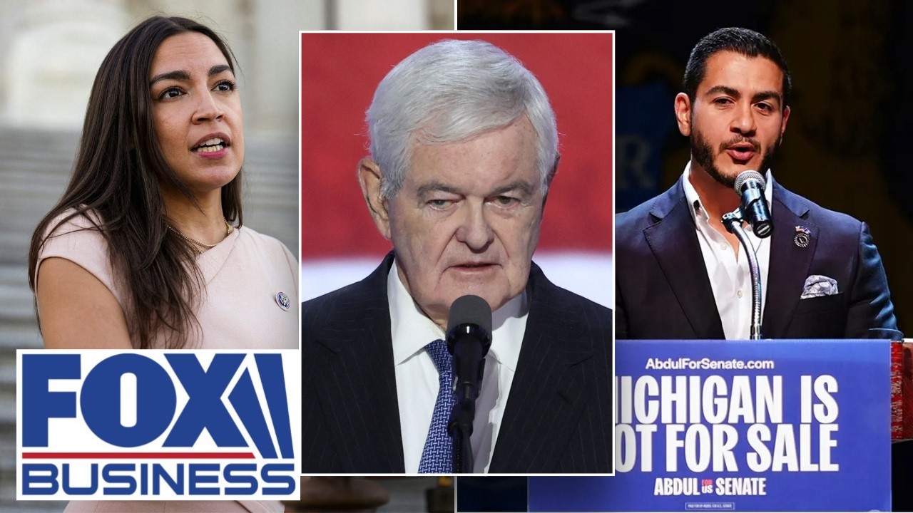 Newt Gingrich: These ANTI-AMERICAN VALUES are ‘UNACCEPTABLE’