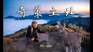 [遊記] 奇萊主北兩天一夜，黑色奇萊巔峰遇見水鹿