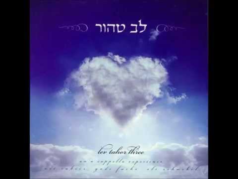 Lev Tahor - Da'agah Minayin (featuring Yossi Green)