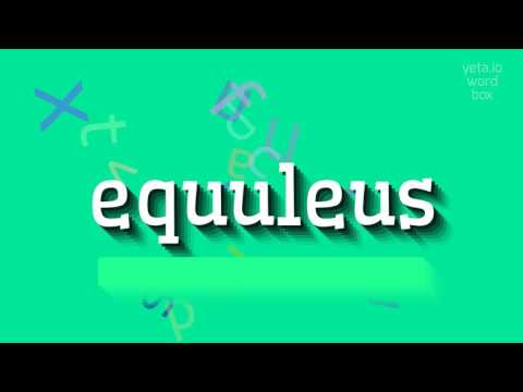 EQUULEUS - HOW TO SAY EQUULEUS? #equuleus
