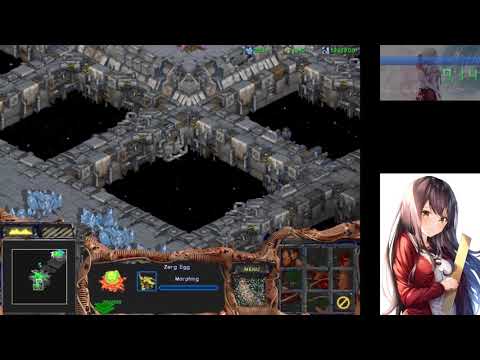StarCraft: Brood War - Zerg 10: Omega in 14:51