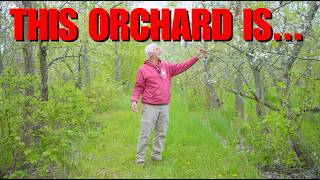 Tour THIS 15 year old PERMACULTURE ORCHARD