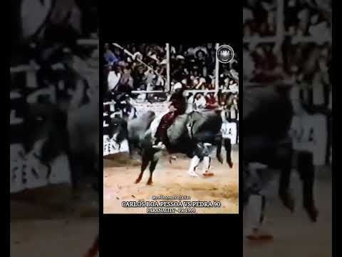 Carlos Boa Pessoa VS Pedra 90 no Rodeio de Paranacity - PR no ano de 1999