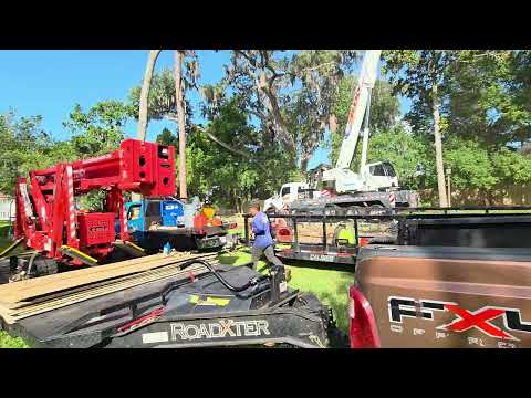 Tree Services by P1Mitigators