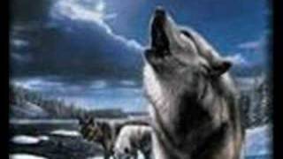 OSMAN ÖZTUNÇ-BİRADER