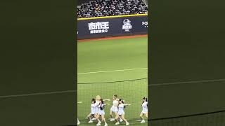 【Team Taiwan】台湾VSチェコ交流試合(台灣捷克國際交流賽)@台北ドーム 20241102 #台湾チア #cheerdance #cheerleading  #teamtaiwan