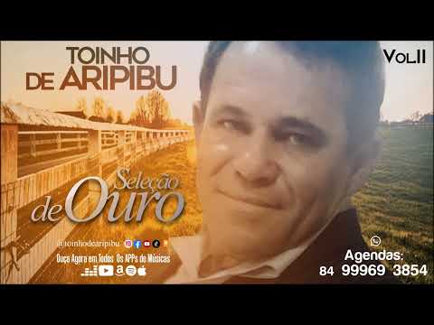 Toinho de Aripibu - Seleção de Ouro Vol. II