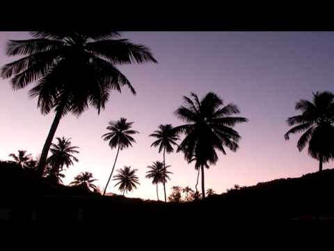 Andy Sim - Palm Trees (Brother Remix)