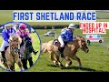 FIRST SHETLAND RACE WITH CLOUDY * ENDS UP IN HOSPITAL * DRAMATIC DAY! *