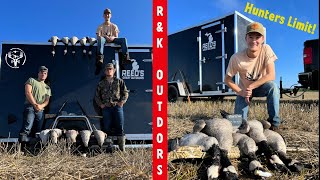 Smashing Early Season Geese (CRAZY ENDING)