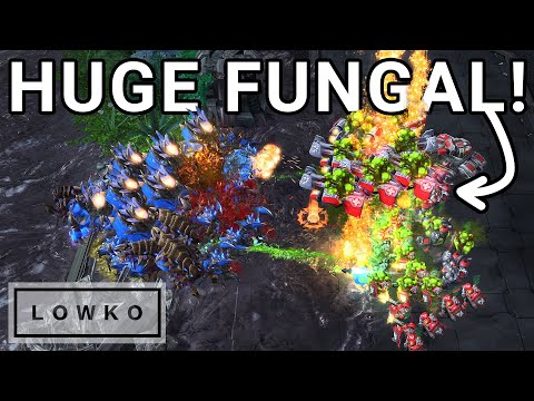 StarCraft 2: Bly's FANTASTIC Build Diversity! (MarineLorD vs Bly)