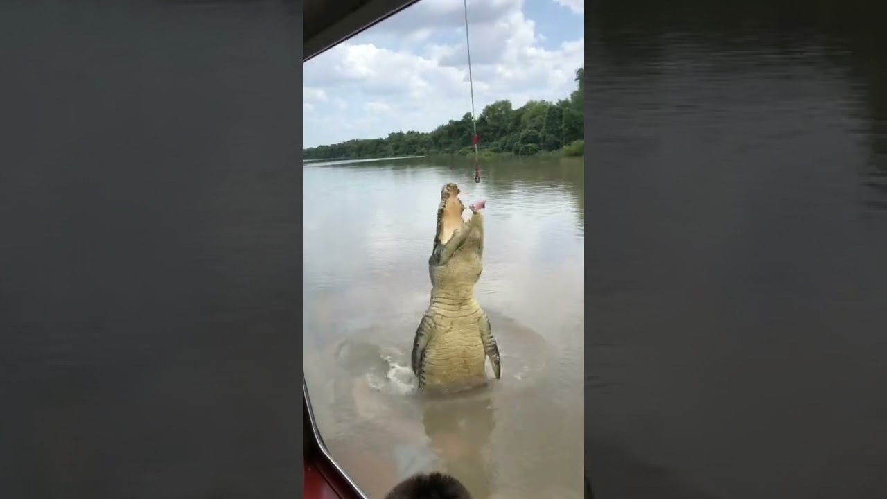 YouTube Short thumbnail