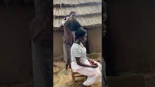 African village hot comb #shortvideo