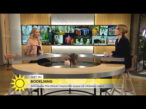 Advokaten svarar på tittarfrågor om bodelning: "Vad gäller för sambor?" - Nyhetsmorgon (TV4)