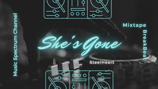 Download lagu DJ She's Gone - BreakBeat Full Bass terbaru 2022 mp3