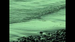 The Waeve - Drowning video