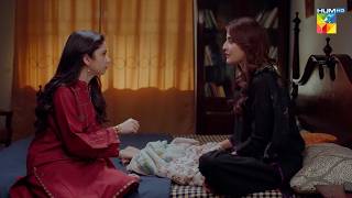 Aik Din Mein Dedh Lakh View, Larki Tou Viral Hai...! Tum Larkay Bhi Na - HUM TV