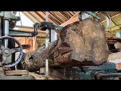 Sawing teak wood into blocks
