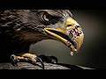 Does A 40 Year Old Eagle Really Break Its Beak