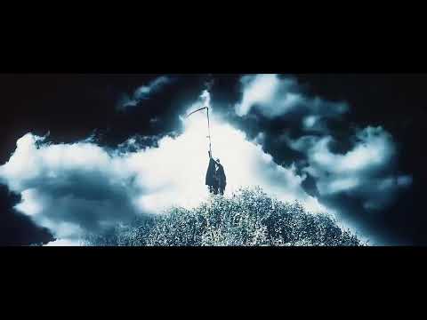 Stachu Jones ryko i koko...