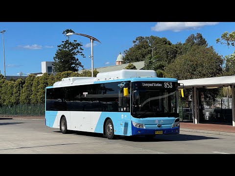 Interline Bus Services: m/o 8184 - Yutong E12 ZK6131HGE