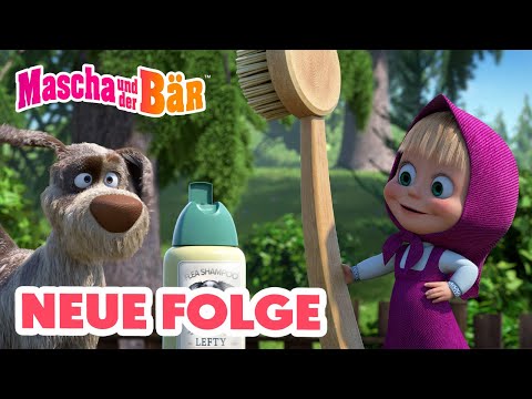 💥 NEUE FOLGE 💥 Duschkraft 🚿🧼 Episodensammlung 🎬 Mascha und der Bär