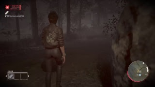 13日の金曜日、aneaneカウンセラー、外人は鍵を持って行く、ゲーム実況