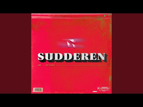 Sudderen (feat. Rody Delorean)