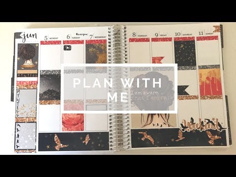 Plan with me // Spencer and Jude (EC Vertical)