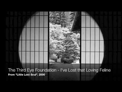 The Third Eye Foundation - I've Lost that Loving Feline