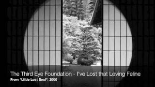 The Third Eye Foundation - I've Lost that Loving Feline