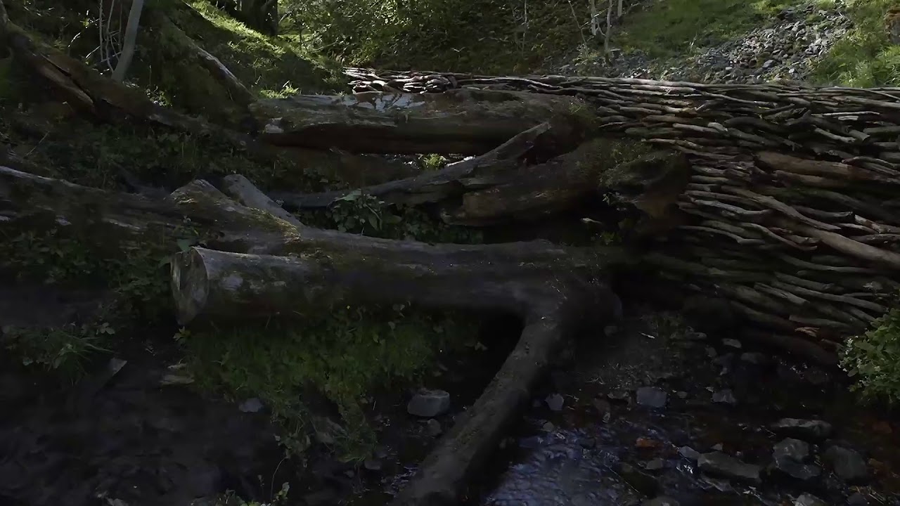Miniature de la vidéo Penché dans le vent - Extrait : Barrages VOST du film Penché dans le vent