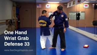 Hapkido One Hand Wrist Grab Defense 33