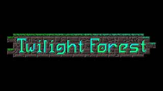 Cover art for Steps-Twilight Forest (minecraft)