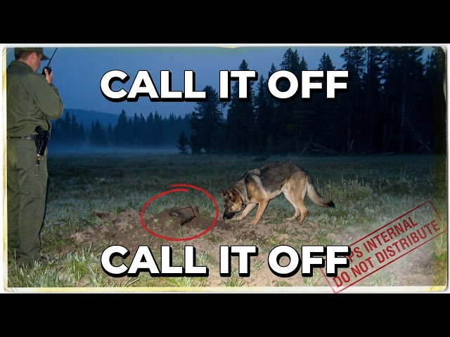 Chất lượng SD (640x480)