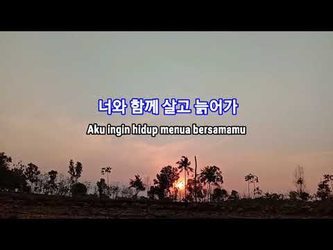 Ost Goblin_I Will Go To Like The First Snow - Ailee (에일리)_Hanguk&Terjemahan