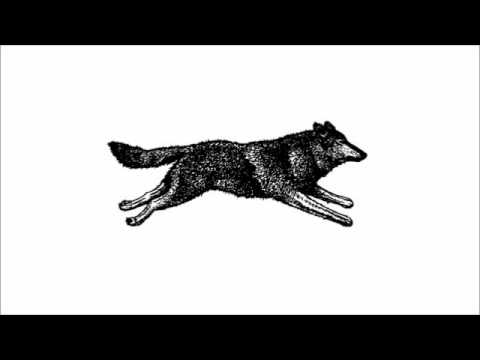 Wolftron - Skinny Love (Bon Iver cover)