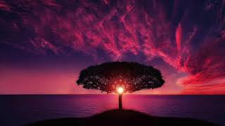 ASMR: Bedtime Whisper Poetry  - Songs of Kabir - 55-60 (Close Whisper) - Divine Nectar