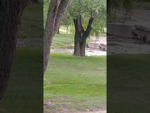 Bella Casa Grande, Punilla, Córdoba, Argentina.#casagrande