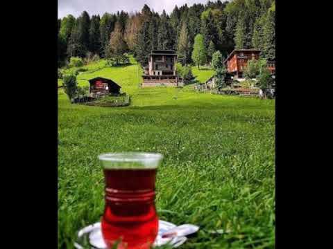 KARADENİZ MASHUP 2 - Hazal babalık & Şafak uyanık