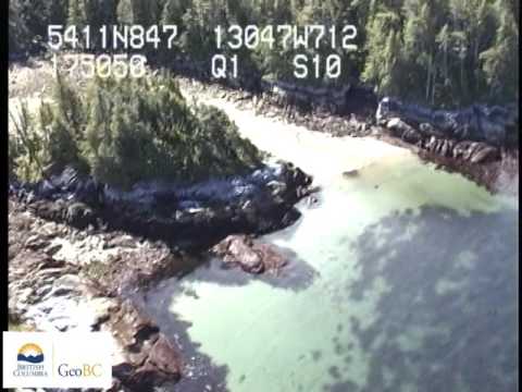 Stephens Island