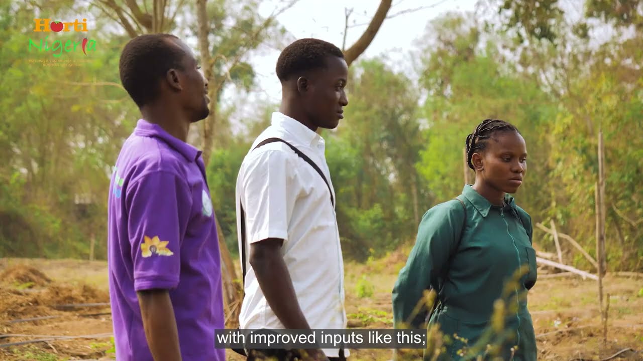HortiNigeria horticulture programme film