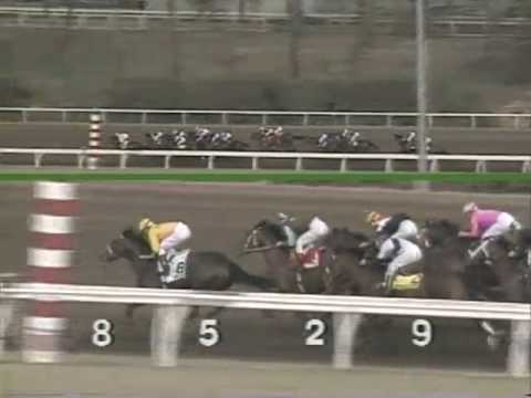 1991 Hollywood Futurity (GI) -  A.P. Indy