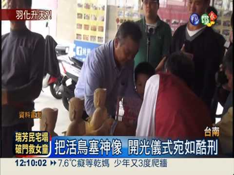 把活鳥當祭品! 塞神像殘酷悶死牠