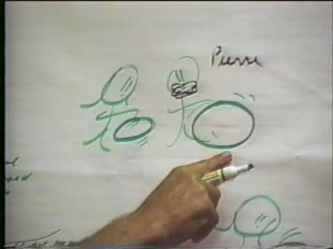1996-08-27 NSPRS 032 - The Dream Cyclic