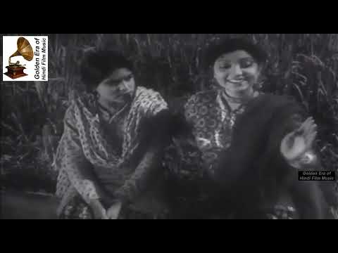 धान के खेत में ना जइयो मोरे राजा — वीडियो थंबनेल